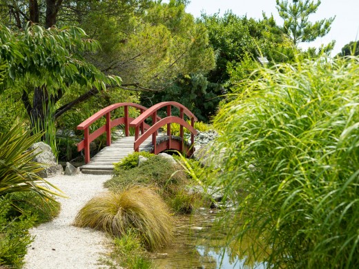 Bridge in Japanese Miyazu Garden, Nelson, 
